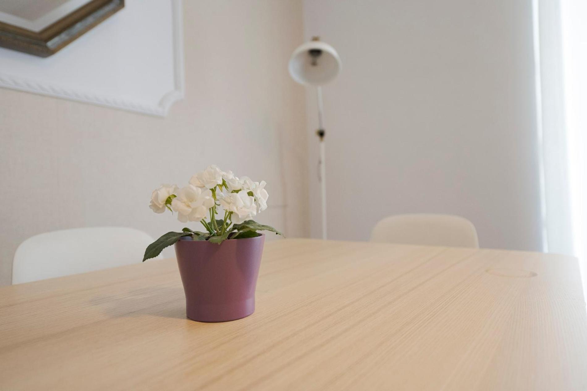 Apartamento Victoria En El Centro De 圣塞瓦斯蒂安 外观 照片